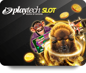 Why Live Casino is Taking the World by Storm
